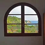 Stella Vineyard *