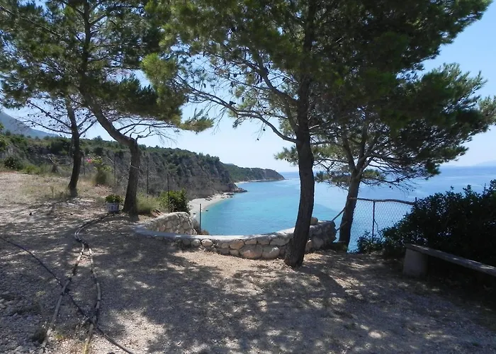 Stella Vineyard * Λουρδάτα