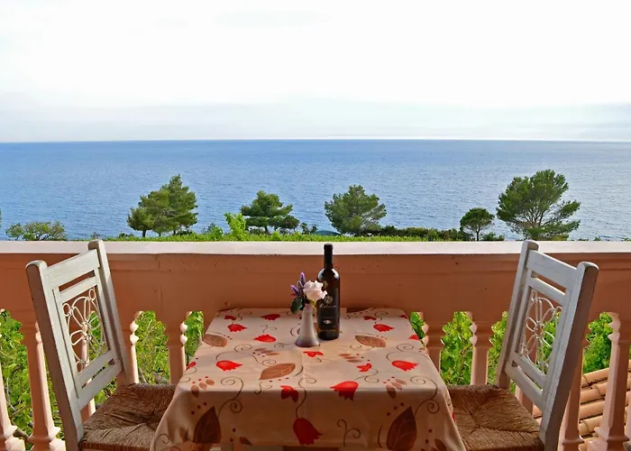 Stella Vineyard * Λουρδάτα
