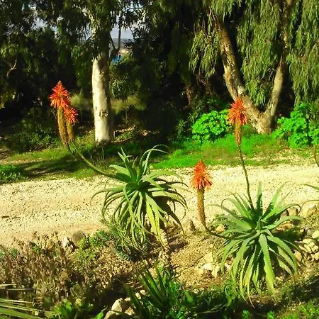 Appartamento Stella Vineyard *