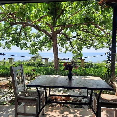 Appartamento Stella Vineyard *