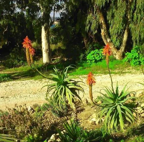 Apartamento Stella Vineyard *
