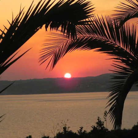 Stella Vineyard * לואורדטה