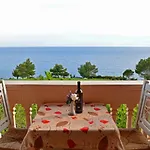 Stella Vineyard * לואורדטה